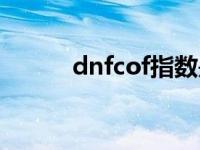 dnfcof指数是什么意思 dnfcof 