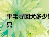 平毛寻回犬多少钱一只 古代牧羊犬多少钱一只 