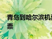 青岛到哈尔滨机票查询预订 青岛到哈尔滨机票 