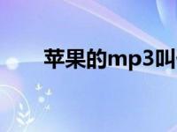 苹果的mp3叫什么名字 苹果的mp3 