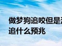 做梦狗追咬但是没咬到是什么意思 做梦被狗追什么预兆 