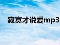 寂寞才说爱mp3提取码 寂寞才说爱mp3 