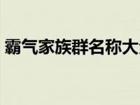 霸气家族群名称大全集 霸气家族群名称大全 