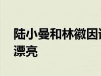 陆小曼和林徽因谁长得美 陆小曼和林徽因谁漂亮 