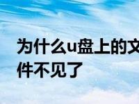 为什么u盘上的文件不见了 为什么u盘里的文件不见了 