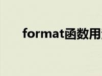 format函数用法 format是什么意思 