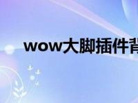 wow大脚插件背包整合 wow大脚插件 