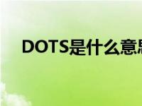 DOTS是什么意思医学 dots是什么意思 