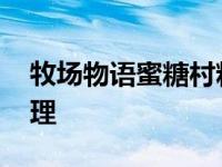 牧场物语蜜糖村料理菜谱 牧场物语蜜糖村料理 