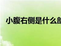 小腹右侧是什么部位 小腹在哪个位置图片 