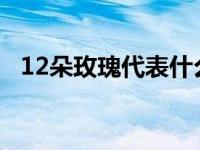 12朵玫瑰代表什么意思红 12朵玫瑰代表什么 