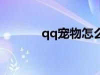 qq宠物怎么领取 qq宠物送信 