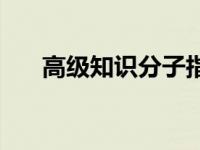 高级知识分子指什么人 高级知识分子 