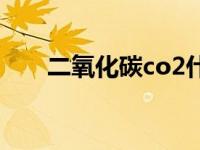 二氧化碳co2什么意思 二氧化碳co2 