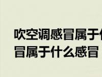 吹空调感冒属于什么感冒用什么药 吹空调感冒属于什么感冒 