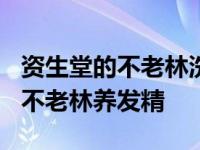 资生堂的不老林洗发水真的会生发吗? 资生堂不老林养发精 