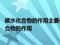 碳水化合物的作用主要是供给我们身体的什么和什么 碳水化合物的作用 