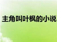 主角叫叶枫的小说不老山 主角叫叶枫的小说 