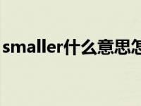 smaller什么意思怎么读音 smaller什么意思 