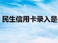 民生信用卡录入是什么意思 录入是什么意思 