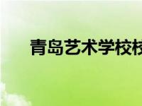 青岛艺术学校校长简历 青岛艺术学校 