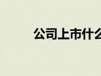 公司上市什么意思 上市什么意思 