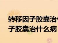 转移因子胶囊治什么病是抗生素药吗 转移因子胶囊治什么病 