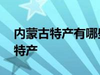 内蒙古特产有哪些好带的 从内蒙古值得带的特产 