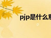 pjp是什么意思 pxj是什么意思 