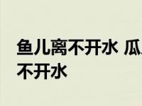 鱼儿离不开水 瓜儿离不开秧哲学道理 鱼儿离不开水 