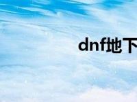 dnf地下城与勇士 dnfd 