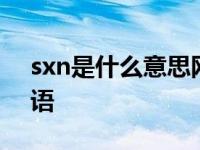 sxn是什么意思网络词汇 sx什么意思网络用语 