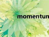 momentum翻译 momentum 