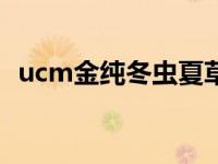 ucm金纯冬虫夏草贵妇膏怎么样 金纯魅惑 