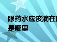 眼药水应该滴在眼睛什么位置图解 眼睛前房是哪里 