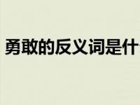 勇敢的反义词是什么字 勇敢的反义词是什么 