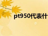 pt950代表什么 pt950是什么意思 