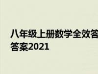 八年级上册数学全效答案人教版2023 八年级上册数学全效答案2021 