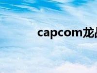 capcom龙战士 电脑战士3d龙 