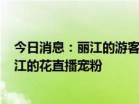 今日消息：丽江的游客，丽江宠！丽江古城10000000支丽江的花直播宠粉