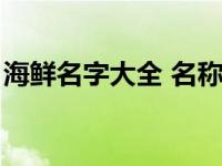 海鲜名字大全 名称及拼音图片 海鲜名字大全 