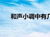 和声小调中有几个小三和弦 和声小调 