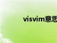 visvim意思 victims什么意思 