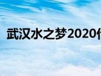 武汉水之梦2020什么价格 武汉水之梦价格 