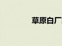 草原白厂家代理 厂家代理 