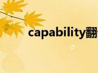 capability翻译成中文 capability 