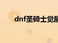 dnf圣骑士觉醒名字 dnf圣骑士觉醒 