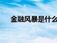 金融风暴是什么? 金融风暴是什么意思 