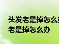 头发老是掉怎么办呢头老是掉头发放了 头发老是掉怎么办 