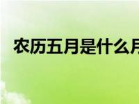 农历五月是什么月属相 农历五月是什么月 